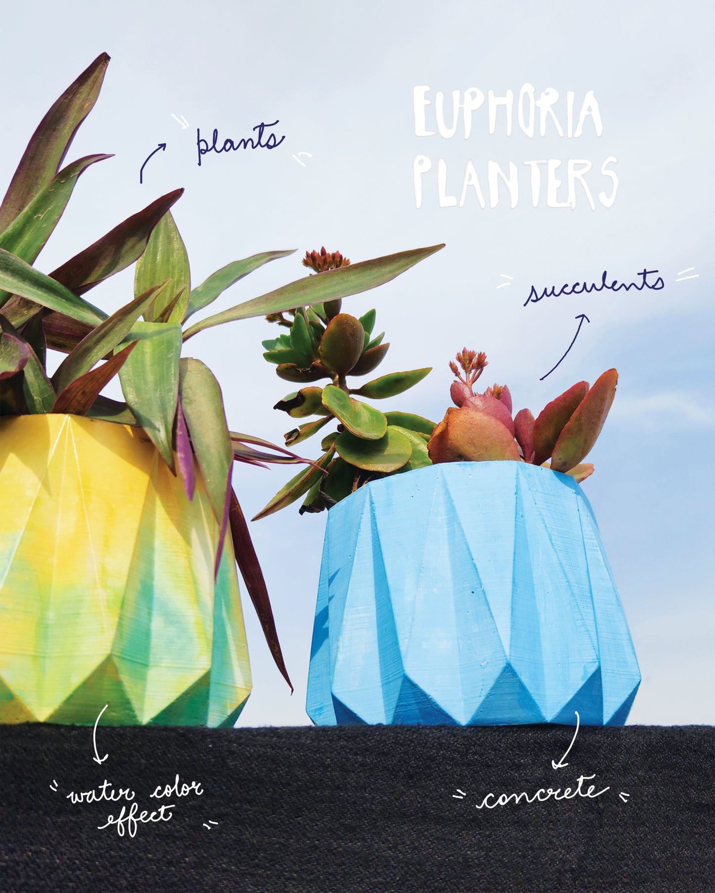 Euphoria Concrete Planters